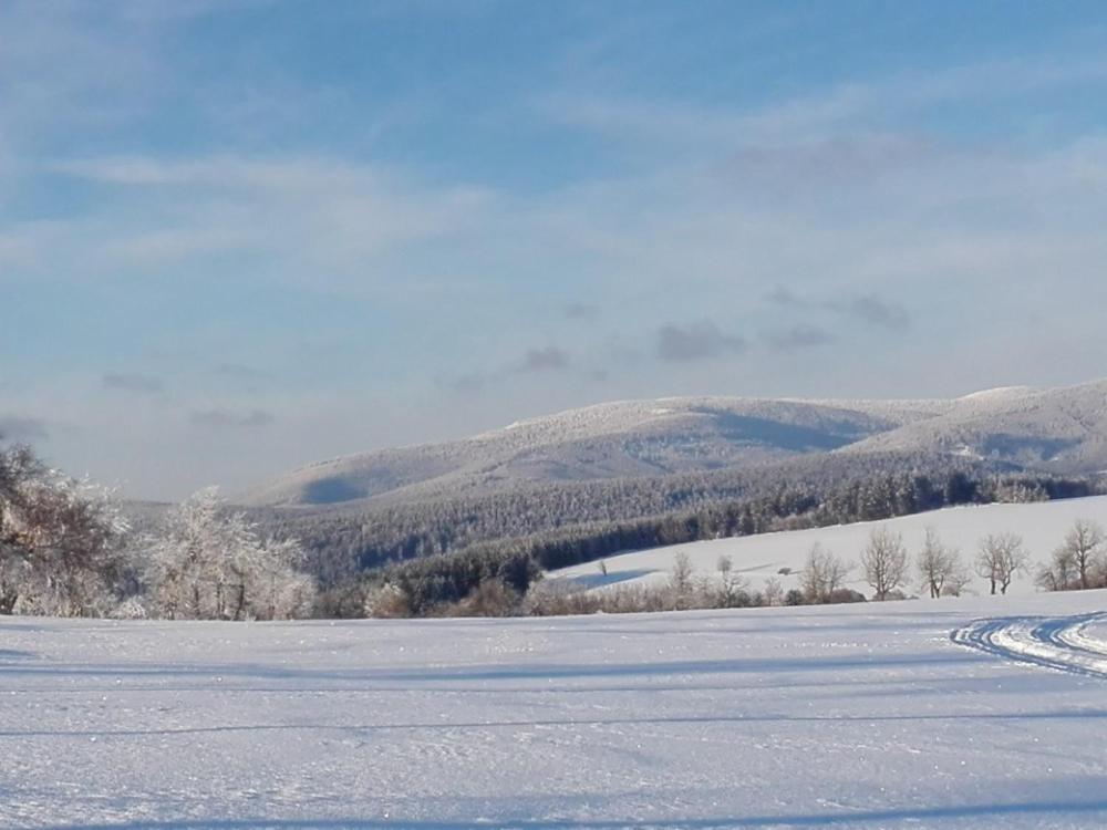 Rodinny Apartman 3+1 Horni Mesto Buitenkant foto